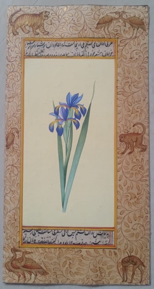 Handmade Miniature Painting of Amaryllis Flower with Persian Calligraphy Border – Gold Foil Work detail